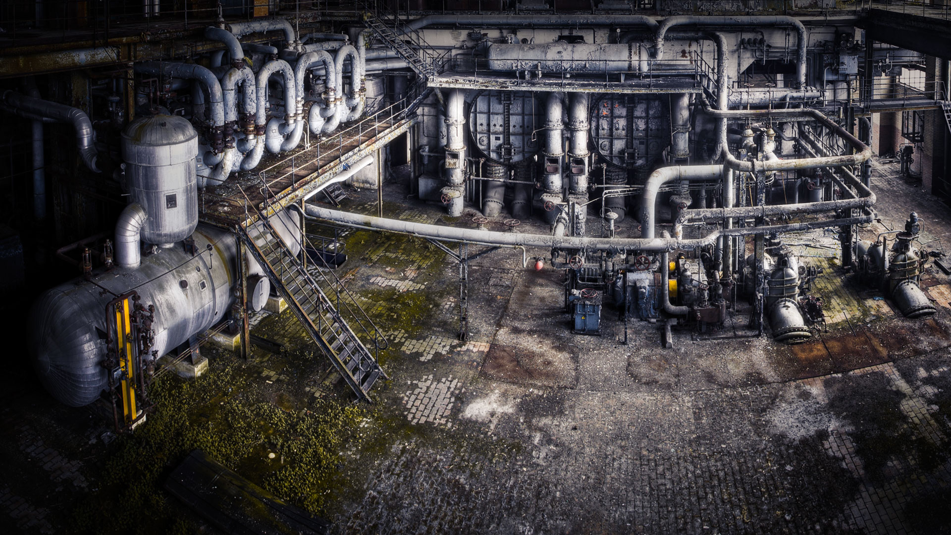 HUMAN CULTURES AMPLIFIERS