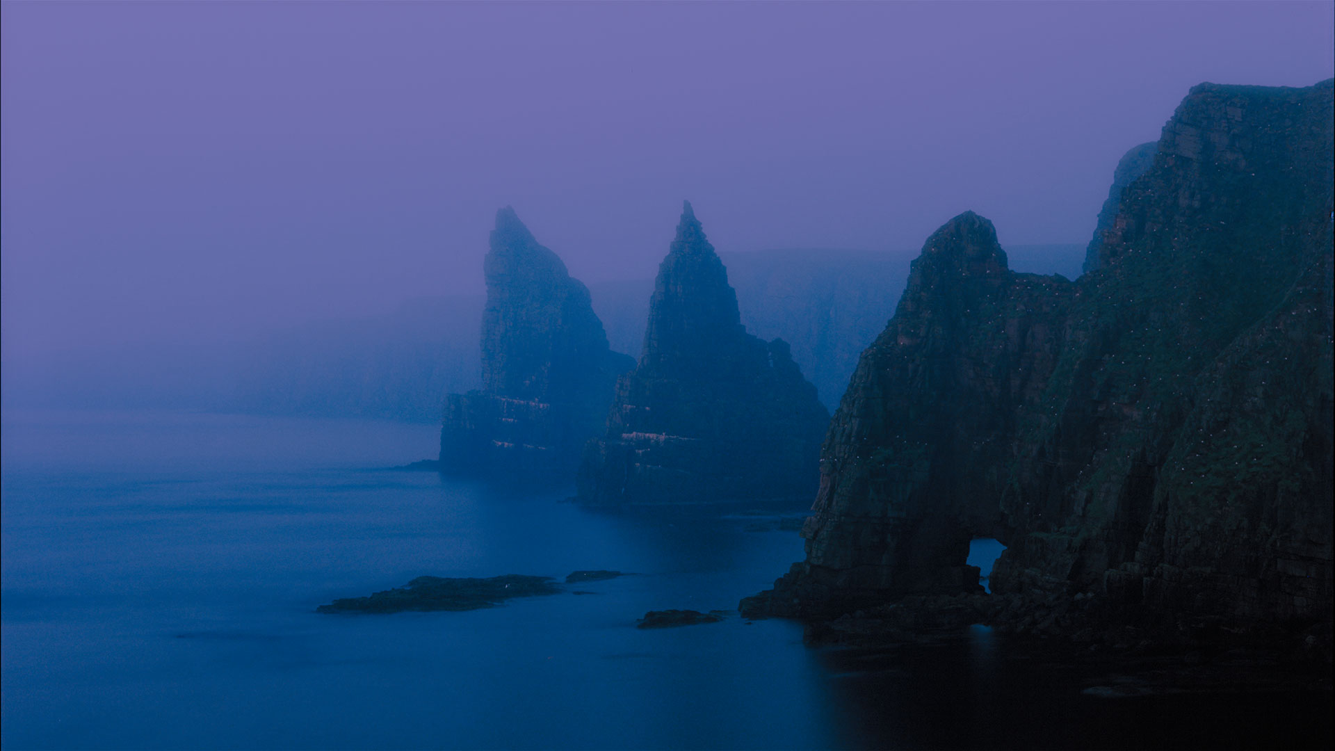 MEANING, PURPOSE, POTENTIAL