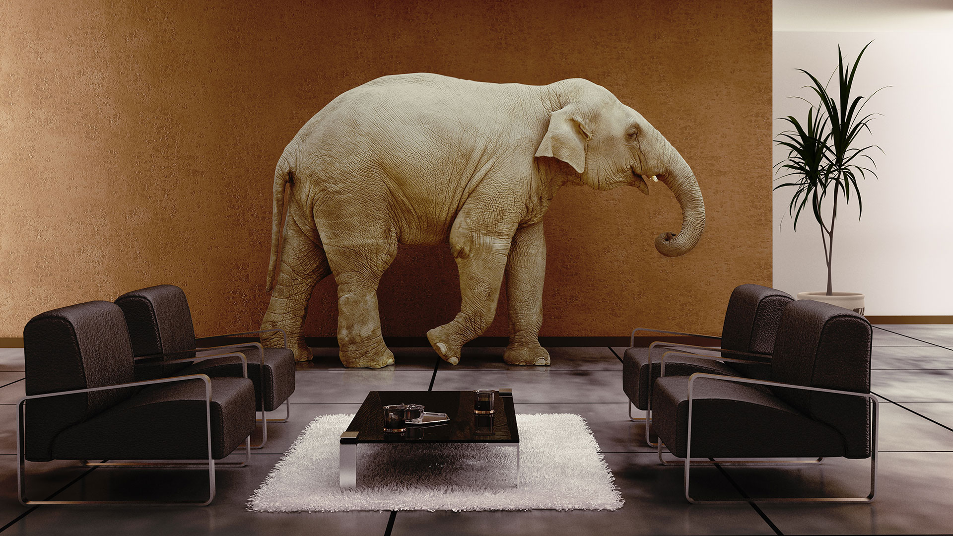 NAME IT. CLAIM IT. GAME IT. TAME IT.