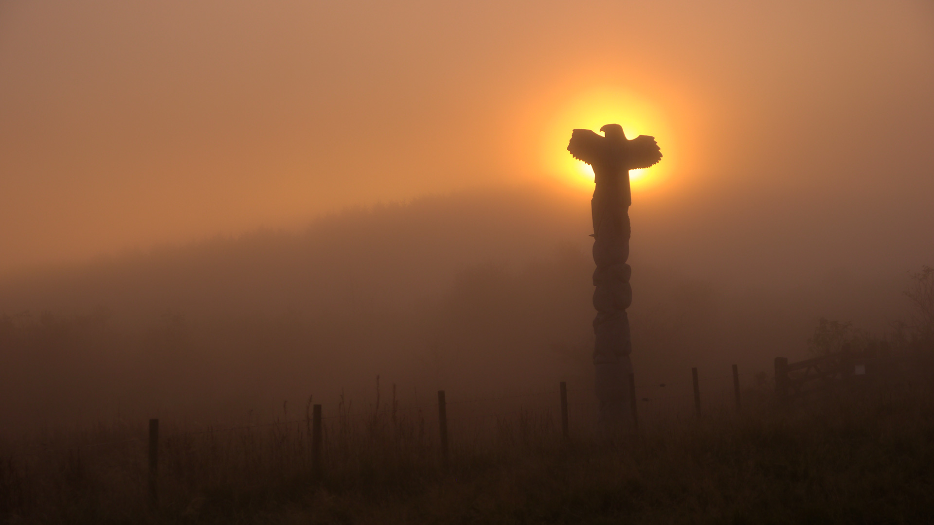 SIMPLIFY AND EXAGGERATE