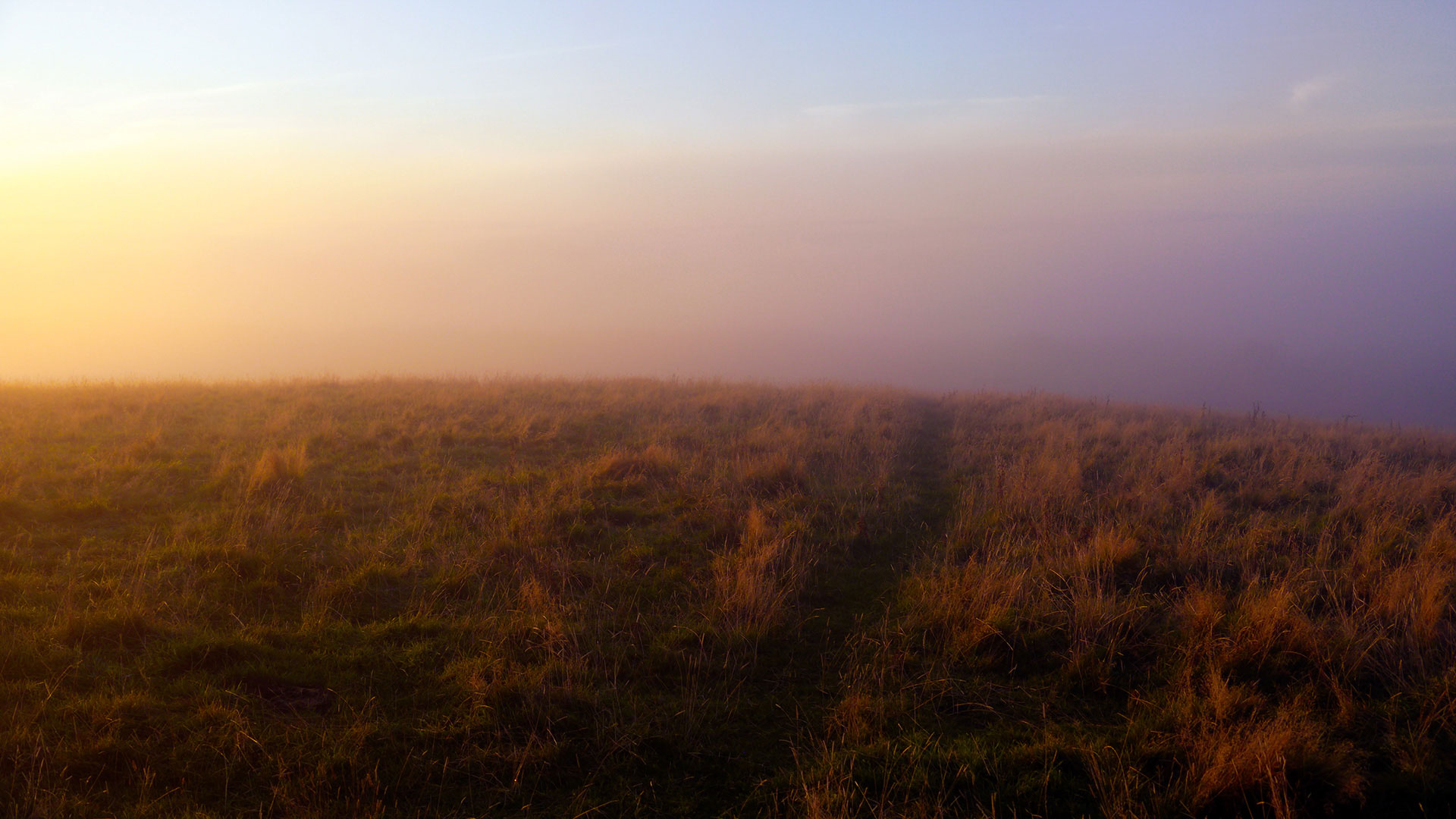 STEP INTO UNCERTAINTY