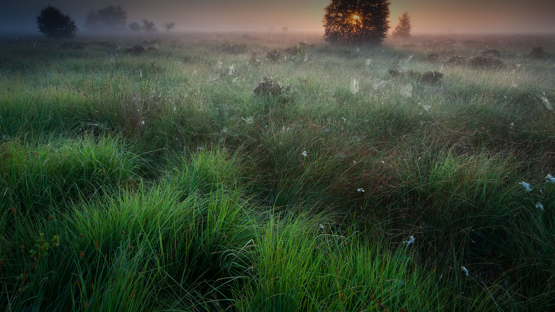 UNABLING OR ENABLING