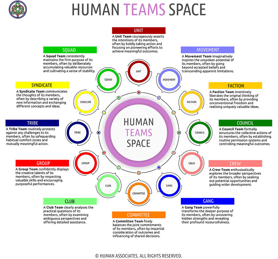 HUMAN TEAMS
